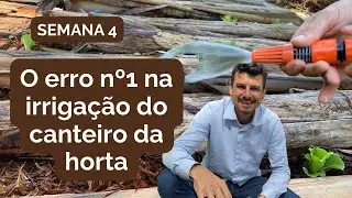 Irrigação do Canteiro Vivo: o Erro Nº1 na Irrigação do Canteiro da Horta (Semana 4)