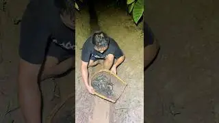 A man with crazy fishing skills