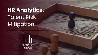 Talent Risk Analytics for HR