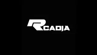 Обновление RCADIA | Обновление корневых сетевых пространств | Переход к TRN 2.0