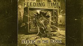 Feeding Time 