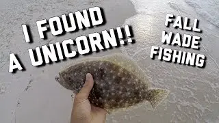 Surf Fishing - Wading for Redfish and Flounder | Fall Flounder Run
