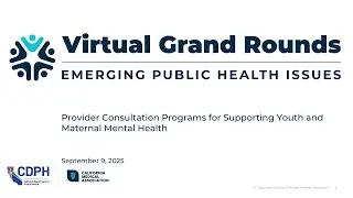 Virtual Grand Rounds: Provider Consultation Programs for Supporting Youth and Maternal Mental Health