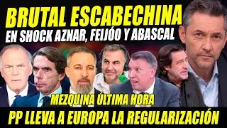 URGENTE: PP VA A EUROPA CONTRA LA REGULARIZACIÓN. BRUTAL ESCABECHINA AL TROLAS DE ABASCAL Y FEIJÓO