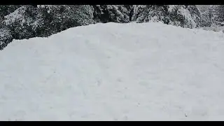 Bus Stop Completely Buried In Snow!(Juneau Alaska) 1