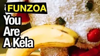 YOU ARE A KELA | Funny Banana Song In Hindi | Funzoa Parody Song | Superb Word Play | Naughty Song