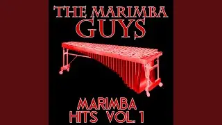 You Know You Like It (Marimba Remix)