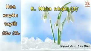 Snowdrop: Perspective (3)