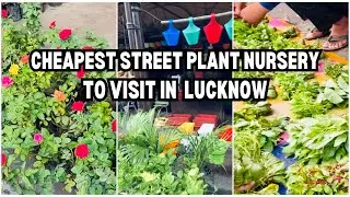 Lucknow&rsquo;s Most Affordable Nursery 🌱 | Plants Starting at ₹10!