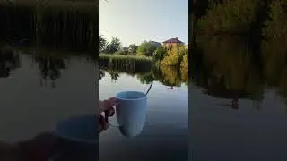 доброе утро. Рыбалка на озере за домом в 5 утра. #fishing #балык #рыбалка #carp