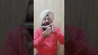 10 hole chromatic harmonica: A good low budget option