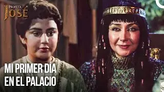 Le Encant&oacute; El Regalo Que Le Dieron | Diarios Del Palacio #1