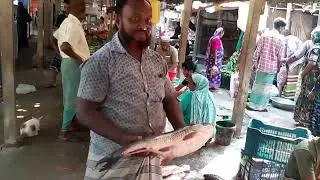 Fish cutting part-3.#fish_cutting #fish_cutting_expert#fish_cutting_video #fish_cutting_classes#usa