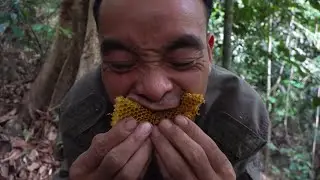 CALL OF THE WILD | LIVING OFF THE GRID | Episode 1