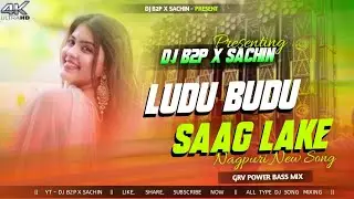 Ludu Budu Sag lake |  New Nagpuri Song | GRV power Bass | Dj B2P X SACHIN |