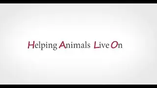 HALO, Helping Animals Live On - Summer 2022