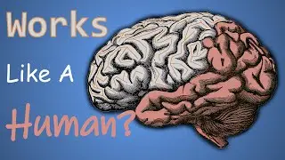 Coding an AI to function like a HUMAN BRAIN!!!