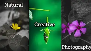 mobile photography ideas, flower photography tips, creative photography ideas, photography tips