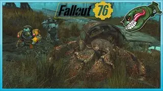 Fallout 76 | Ammo Factory, Getting Wrecked, 3x Scorchbeast, Legendary Hermit #15 (Live Stream)