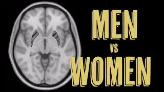 Are Male and Female Brains Different?