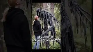RARE PHOTOS That may Blow Your Mind...#facts #history #fact #interesting #shorts #funny #factshorts