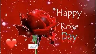 Happy Rose Day 2020 ,Rose Day Whatsapp Status Video,Happy Valentine&rsquo;s Day 2020 | Gorgeous You |