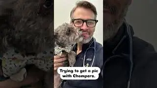 Trying to Get a Pic With Chompers