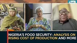 Nigeria's Food Security: Analysis on Rising Cost of Production and More | Daybreak