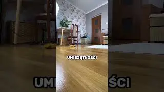 Tani samoch&oacute;d RC do driftowania?😳