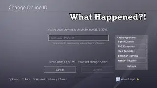 THE AFTERMATH OF PSN NAME CHANGE