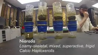 Copper Mobility and Toxicity in Soils