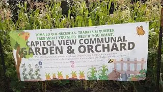 Capitol View Communal Garden & Orchard - Saint Paul, MN 2024