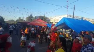 Pedrice&ntilde;a 2016