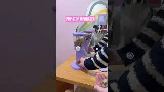 Долгожданное обновление Pup Stop!!! #pupstop