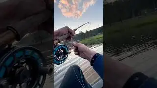 Pure dopamine on the water 🎣🧠 #bassfishing