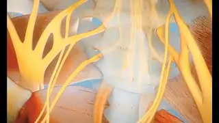 Non Invasive Sacral Nerve Stimulation Benchtop Validation
