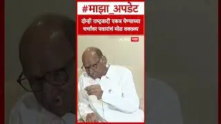 Sharad Pawar On NCP Alliance : दोन्ही राष्ट्रवादी विलीनीकरणाच्या चर्चांवर पवारांचं मोठ वक्तव्य