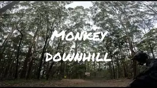 Monkey DH FT Hugey crash