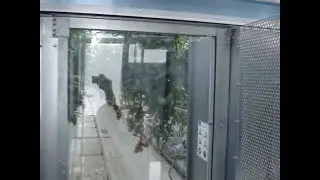 Wholesum Mexico single vs. double air distribution hose condensation comparision.
