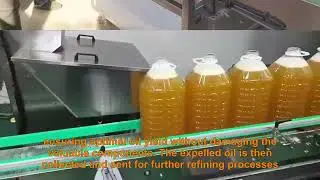 Rice bran oil pressing equipment process flow and principle