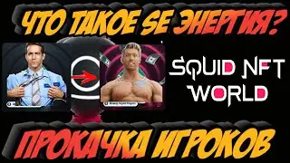Squid NFT World by biswap - what is SE energy and how to upgrade SquidEnergy. Guide Instruction No 5