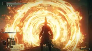 Godfrey, First Elden Lord / Hoarah Loux, Pure Caster build
