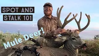 How to Hunt Mule Deer 101 - Spot and Stalk Strategy