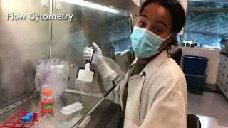 Virtual Lab Tour with Fred Hutch
