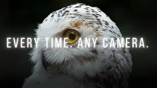 КАК ПОЛУЧИТЬ РЕЗКИЕ ФОТОГРАФИИ С ПОМОЩЬЮ ЛЮБОЙ КАМЕРЫ