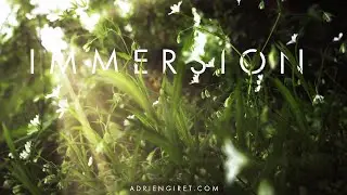 Immersion 360&deg;