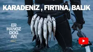 Karadeniz'in fırtınasında zıpkın avı. Eşkina, Kefal, Levrek