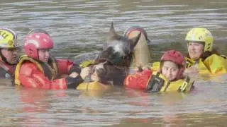 Great Flood of 2016 &bull; Louisiana
