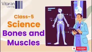 Class 5. Science - 7. Human Body - Bones and Muscles