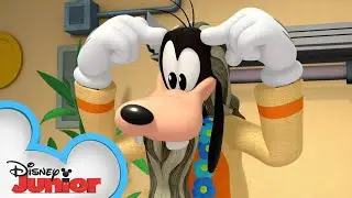Goofy's Advice 😊| Mickey Mornings | Mickey Mouse Roadster Racers | @disneyjr